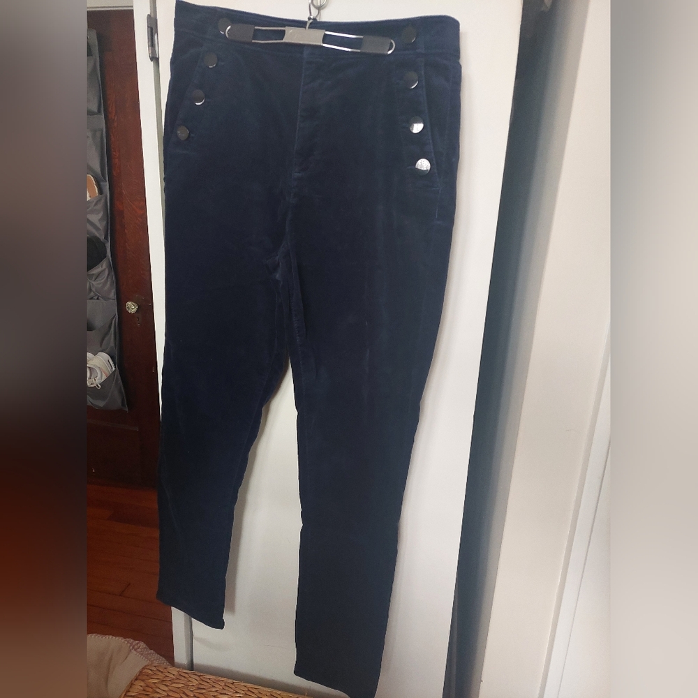 LOFT Navy Velvet Pants